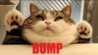 BUMP.jpg
