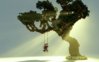 Bonsai Tree.jpg