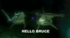hello bruce.gif