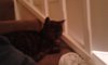 20150812_185104.jpg