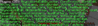 Plugins.png