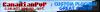 Server baner.png