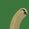 ede009b.gif