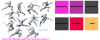 Untitled-1.png