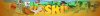 boskie-banner.jpg