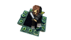 Viriwip.png