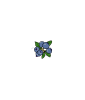 blueberry drawn.png