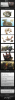shop.png