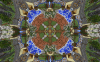 2016-07-29_18.33.13.png