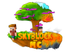 skyblock.png