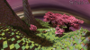 SpawnPractice-1530.png