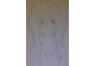 yuno.png