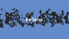 kelleno_00000 copy 2.png