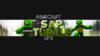 SapTurtleBanner.png