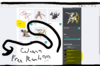 ranks.png