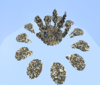 2016-12-28_20.27.37.png
