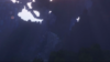 c86e0ca71486a0e16decaf75fff0cd6410385823_lrg.png