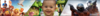upload_2017-1-31_13-55-54.png