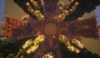 nicepicture3.png