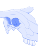 cowskull1.png