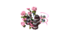 C0Ihz5vWgAAoZtV.png