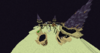 Screenshot 3.png