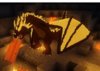 Dragon.jpg