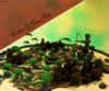 KitPvpRender.png