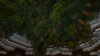 TheLost 3.png