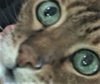 ^A9314390AE0B4B25C985E3BD3334F0EB19D122DE673F9A1C17^pimgpsh_fullsize_distr.jpg