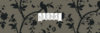 bliink.jpg