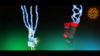 Chicken.png