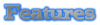 features.png