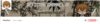 Screenshot 2017-04-30 at 9.12.08 PM.png