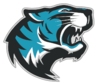 Safron Logo.png