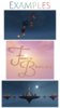 Enlight160.jpg