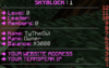 SkyBlock PINK.png