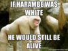 harambe-white-if-harambe-was-white-he-would-still-be-alive.jpg