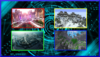 Portfolio.png