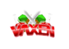 vaxen logo.png
