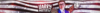 banner for mc.png