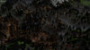 render1.jpg