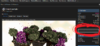 download.png