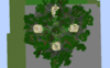 2017-06-30_20.40.46.png