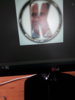 JPEG_20170629_162256.jpg