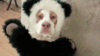 200_s.gif