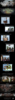 SHOPTREAD.png