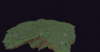 srvr2.png