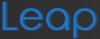 Leap2.jpg