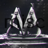 verse avi.png